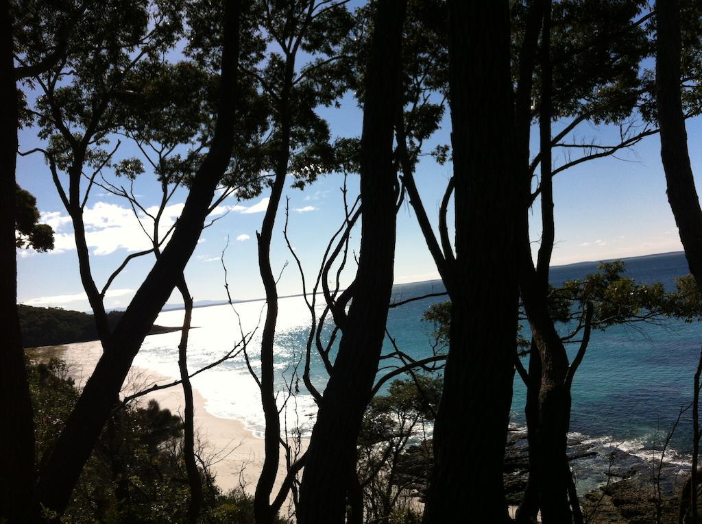 Hyams Beach - A Secret Treasure Rum bild